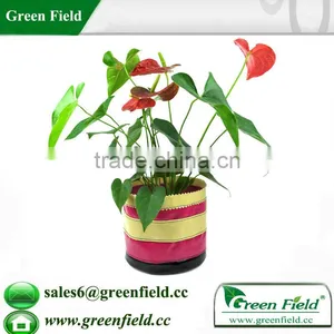 Garden 1 Gallon Grow Pots ,flower Decoative 1 Gallon Grow Pots thumbnail-1
