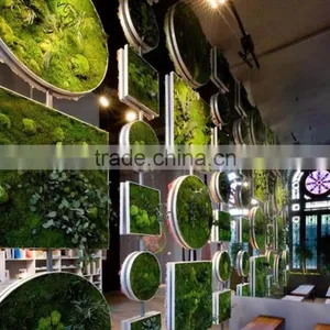 Plastic Green Wall for Living Room Decoration Moss Green Wall Decoration thumbnail-5