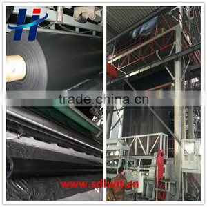 ASTM Standard Hdpe Geomembrane Liner thumbnail-1