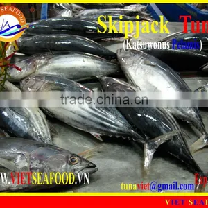 FROZEN W/R SKIPJACK TUNA thumbnail-1