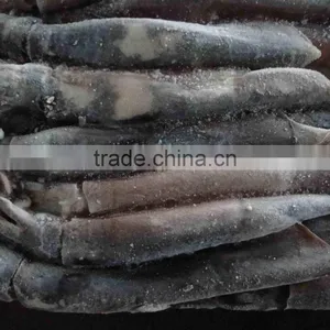 Dried Smoked Squid thumbnail-1
