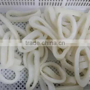 Illex Squid Rings thumbnail-3