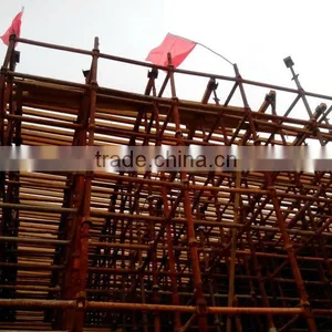 Highly Demanded Of Ganlvnized Steel Cuplock Scaffolding thumbnail-1