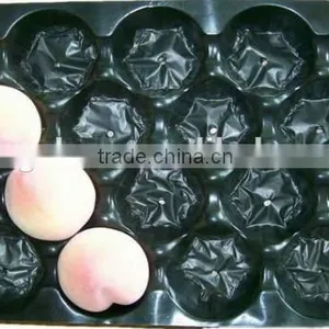 China Gold Supplier FDA/SGS Approved High Quality Supermarket Display PP Apple Packing Tray thumbnail-2