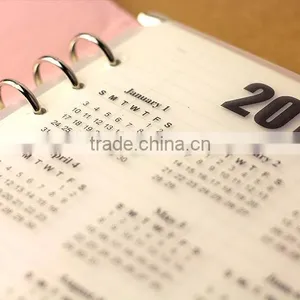 A5/A6 Timetable Board for Planner Transparent PP Spacer for Notebook Customizable Elastic Board thumbnail-3