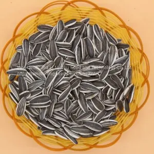 Sunflower Seeds for Export thumbnail-1