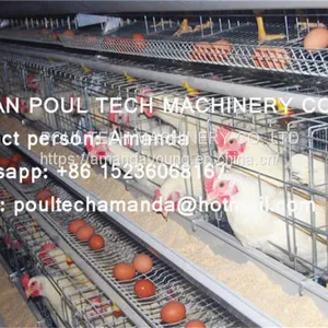 Philippines Chicken Farm Hot Galvanized Cage for Layer & A Frame Battery Hen Cage & Chicken Coop for Poultry Farm thumbnail-2