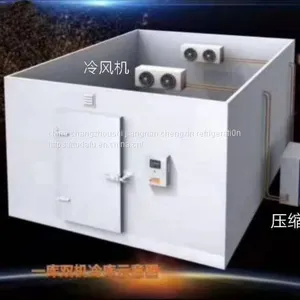 Storage and Preservation of Plum Fruit thumbnail-1