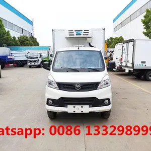 Cheapest Price Gasoline Engine FOTON V1 Refrigerated Minivan 1T Loading Capacity for Sale thumbnail-1