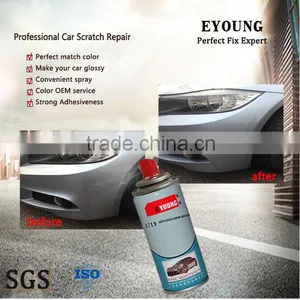 Auto Touch up Aerosol Spray Coating thumbnail-1