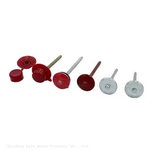 Corrugated Roofing Nail Roofing Coloured Nails Zinc Coated Roofing Nails thumbnail-3