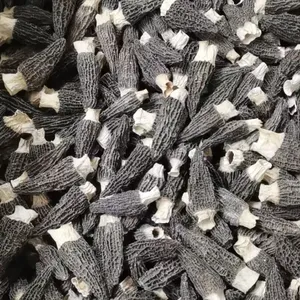 Dried Mushroom ,fungus and Agricultural Products thumbnail-2