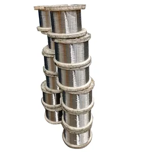 Wholesale 0.65mm 0.9mm 304 304L Stainless Steel Wire thumbnail-1
