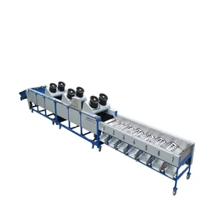 3 Ton Onion Garlic Sorting and Grading Machine thumbnail-1