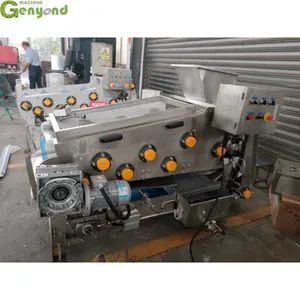 Factory Small 500kg/H Apple Juicer Fruit Belt Type Juice Extraction Equipment thumbnail-5