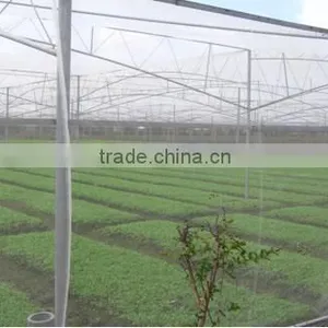 High Quality Greenhouse Anti Insect Mesh Netting thumbnail-6