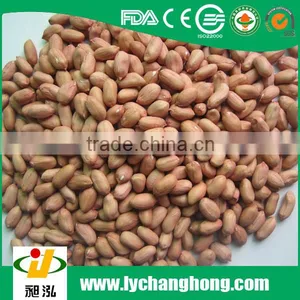 2015 New Crop Peanut/ Peanut Kernels thumbnail-2