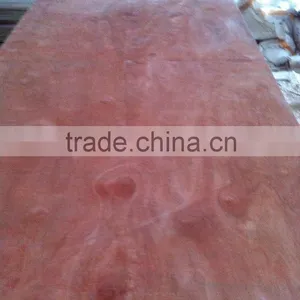Plywood, AB Bintango, Specification 1220x2440x11.5mm for Construction With the High Quality and the Suitable Price thumbnail-1