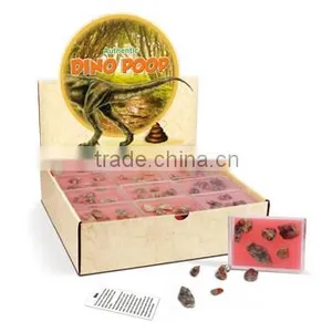 Authentic Dino Poop in a Box, 36pcs per Display thumbnail-1