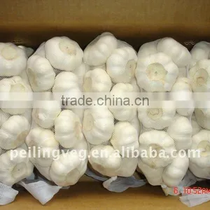 Pure White Garlic (chinese) thumbnail-1