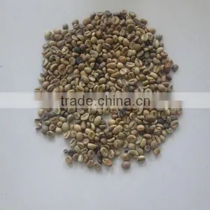 Green Coffee Bean (+84948425455 VIBER, WHATSAPP/SKYPE: VISIMEX05) thumbnail-2