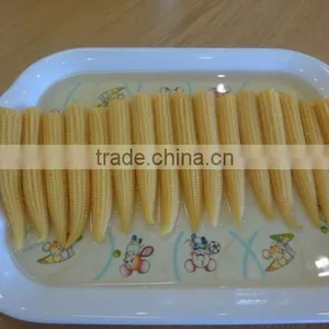 Canned Baby Corn in Brine thumbnail-1