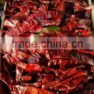 Paper Box Paprika Pods thumbnail-2