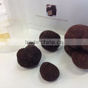 High Quality Wild Black Truffle 100% Wild Truffle for Sale thumbnail-5
