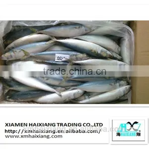 Frozen Mackerel Prices thumbnail-5