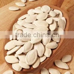 9-11mm Pumpkin Seeds From Inner Mongolia thumbnail-6