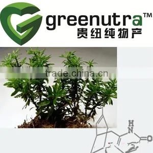 Huperzia Serrata Extract thumbnail-1