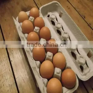 12 Cells Paper Pulp Egg Tray Carton With Cover thumbnail-1