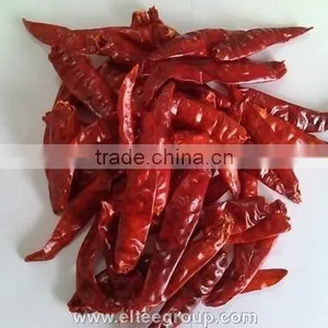 Chilli Without Stem thumbnail-1