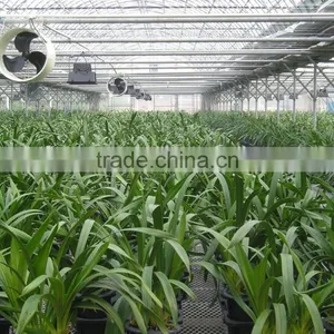 Tunnel Greenhouse for Plants thumbnail-6