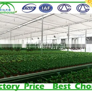Glass Greenhouse for Nursery Plants thumbnail-1