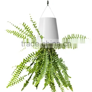 Magic Sky Planter Plastic Flower Pot Hanging Planter Plastic Flower Pot Supplier From China thumbnail-2