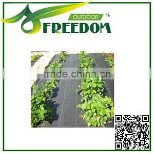 Cheap Price Agriculture Black Plastic Ground Cover thumbnail-1