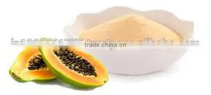 PAPAYA POWDER EXTRACT thumbnail-1