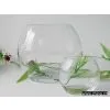 Glass Vase thumbnail-1