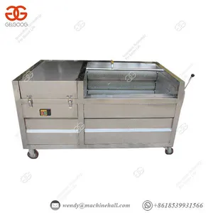 Vegetable Sanitizer Machine Brush Cleaning Machine Wax Gourd thumbnail-2