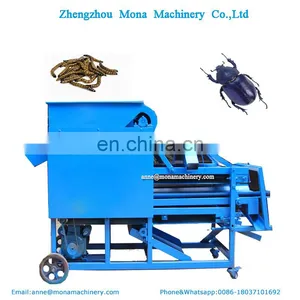 New Improved Type Tenebrio Molitor Screening Machine in South America thumbnail-4
