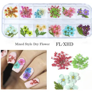 Dried Flower Nail Art For Nail Decorations Nails With Dried Flowers thumbnail-3