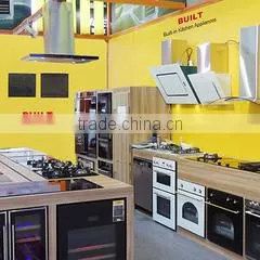 Foshan Built Electronic Appliance Manufacture Co., Limited company overview - view 2 thumbnail