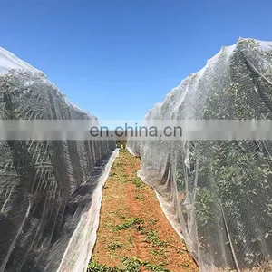 New Hdpe Cheap PE Anti-hail Net Agriculture Mesh Net Plant Bee Netting thumbnail-4