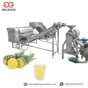 Automatic Mango/Pineapple Juice Machine Mango Pulp Production Processing Line thumbnail-1