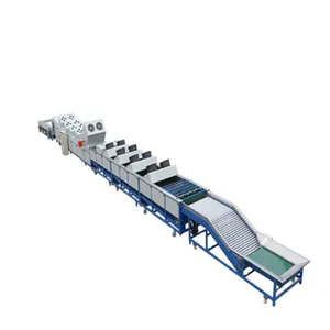 Shanghai Full Industrial Orange Apple Washing and Sorting Machines thumbnail-1