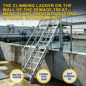 High Stability Galvanized Steel Vertical Cage Ladder Anti Shake Outdoor Industrial Inspection Ladder thumbnail-1