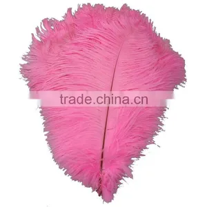 Wholesale New Style Feather, Feather Ostrich Plumes, Different Colours Carnival Ostrich Feathers for Party Decorations thumbnail-4
