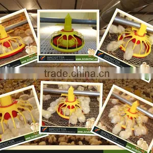 Birdsitter Chicken Farming Automatic Poultry Equipment Suppliers thumbnail-4