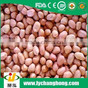Raw Peanut Kernel Size 24/28,34/38,peanut Price thumbnail-1